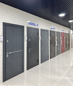 Бренд-секция «Стальная линия» = пр-т Энгельса, д. 48